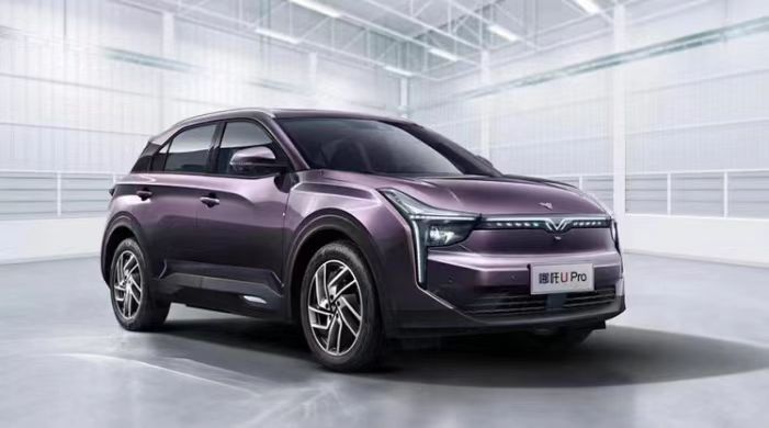 WechatIMG825.jpeg WechatIMG825.jpeg